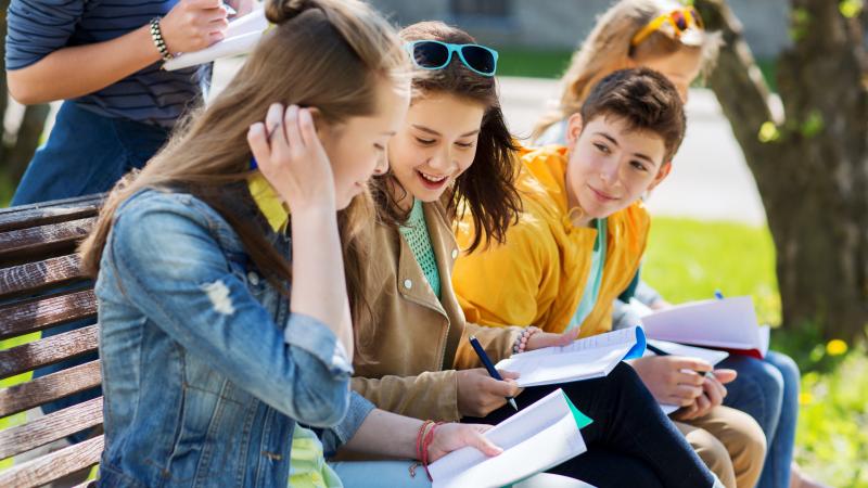 Speciaal voortgezet onderwijs (cluster 2)